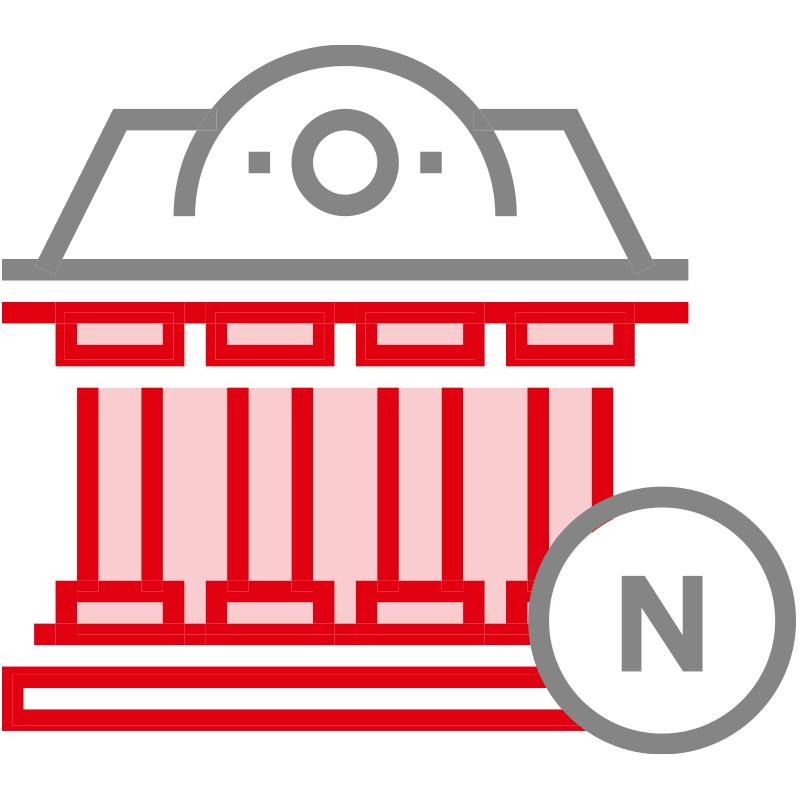 NON-GOVERNMENTAL ORGANISATIONAL ACCOUNT